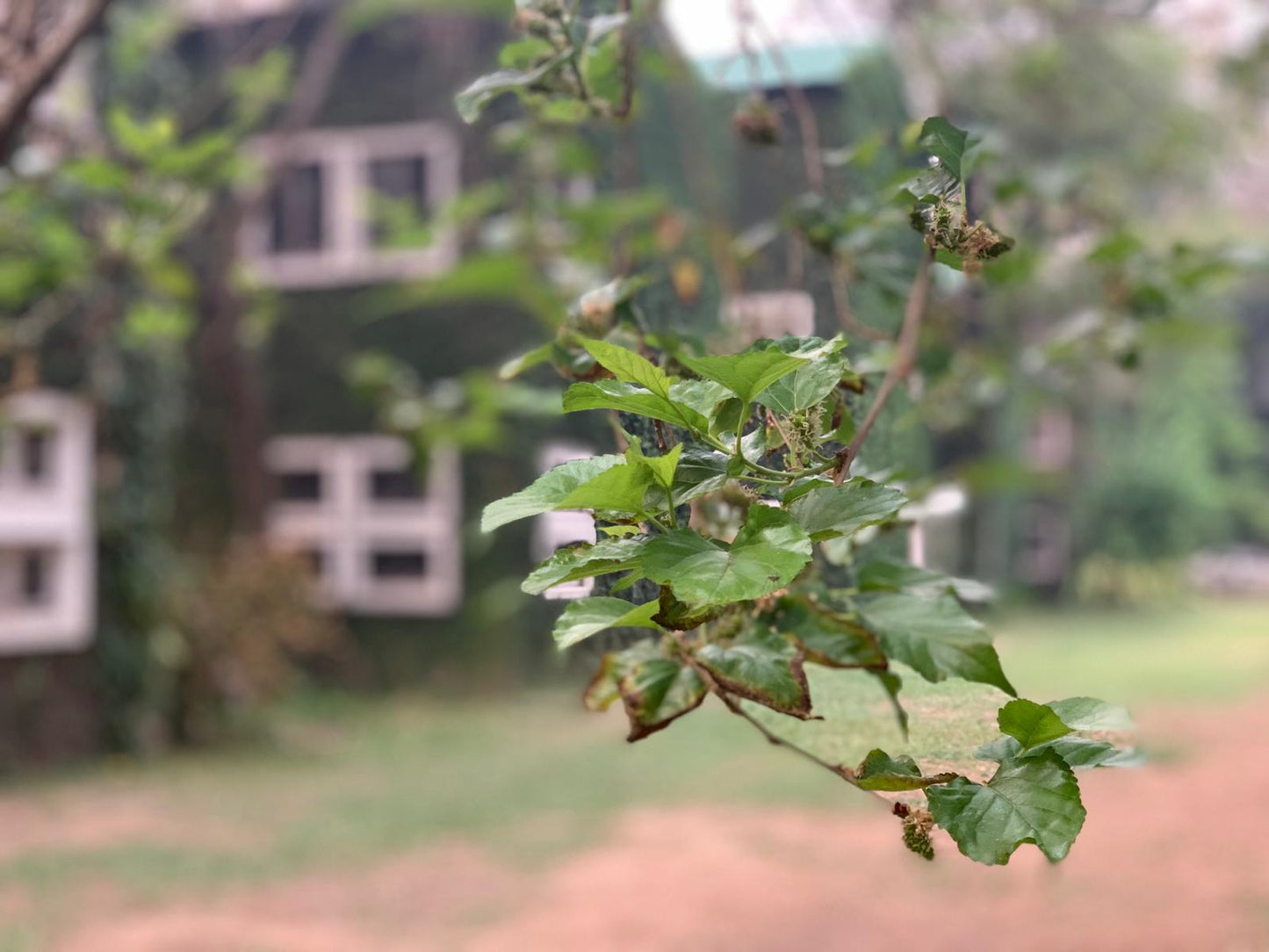crEATive heART retreat
