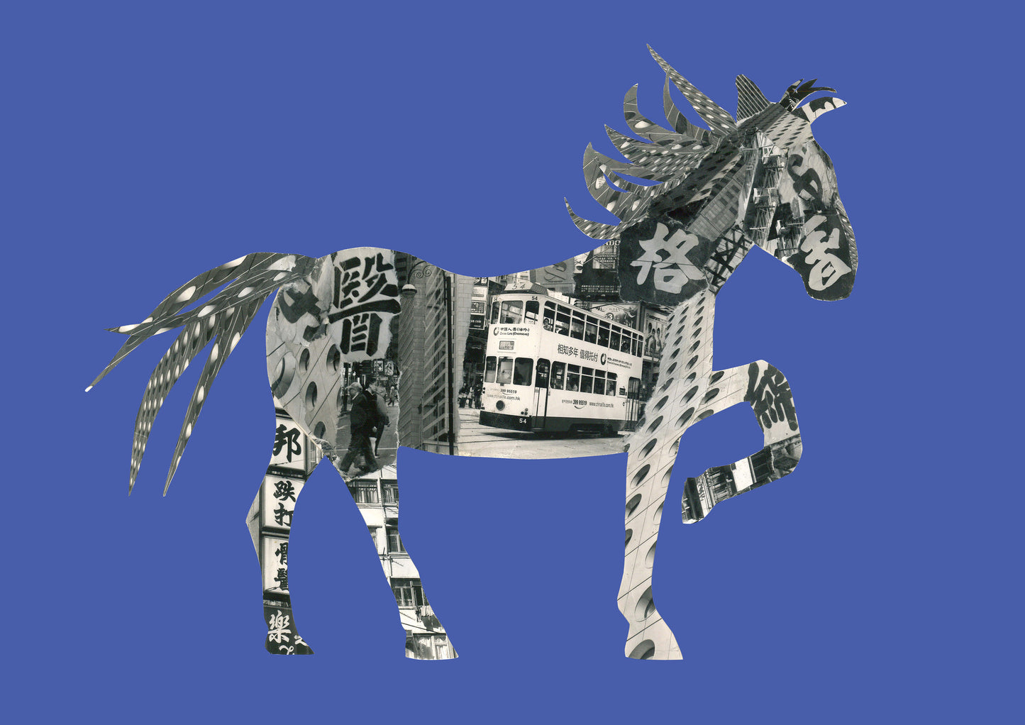 Horse In Hong Kong