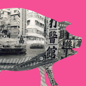 Pig In Hong Kong